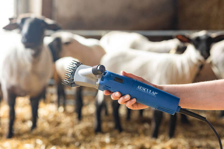 AESCULAP Schermaschine Econom Nova für Schafe